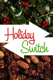 Holiday Switch 2007 on netflix