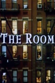 The Room 1992 on netflix