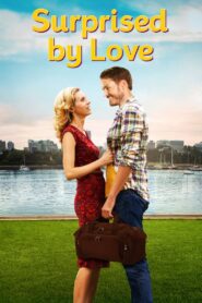 Surprised by Love 2015 on netflix