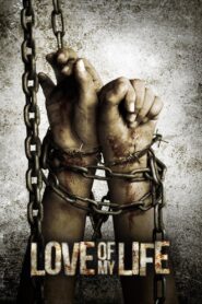 Love of My Life 2013 on netflix