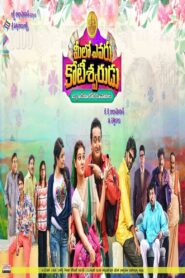 Meelo Evaru Koteeswarudu 2016 on netflix