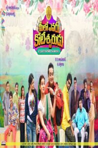 Meelo Evaru Koteeswarudu 2016 on netflix