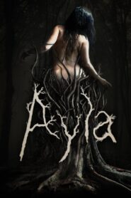 Ayla 2017 on netflix