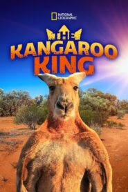 The Kangaroo King 2015 on netflix