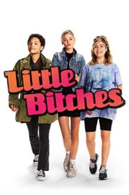 Little Bitches 2018 on netflix
