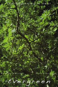 Evergreen 2012 on netflix