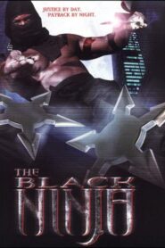 The Black Ninja 2003 on netflix