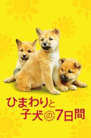 7 Days of Himawari & Her Puppies 2013 on netflix