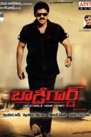 Bodyguard 2012 on netflix