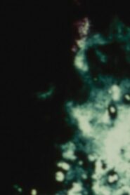 Loud Visual Noises 1987 on netflix