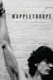 Mapplethorpe: Look at the Pictures 2016 on netflix