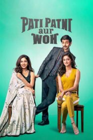 Pati Patni Aur Woh 2019 on netflix