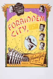 Forbidden City, U.S.A. 1989 on netflix