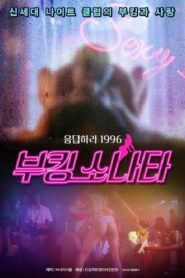 부킹 쏘나타 2001 on netflix