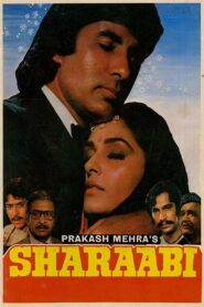 Sharaabi 1984 on netflix