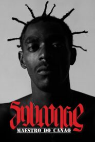 Sabotage: Maestro do Canão 2015 on netflix