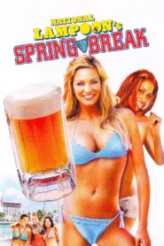 Spring Break 24/7 2007 on netflix