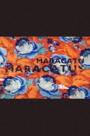 Maracatu, Maracatus 1995 on netflix