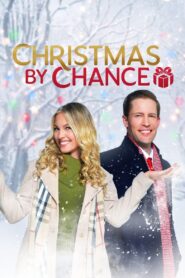Christmas by Chance 2021 on netflix