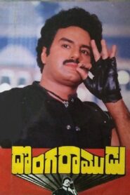Donga Ramudu 1988 on netflix