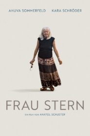 Ms Stern 2019 on netflix