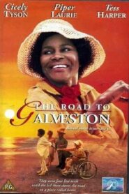 The Road to Galveston 1996 on netflix