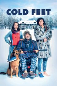 Cold Feet 2018 on netflix