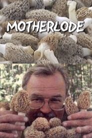 Motherlode 2002 on netflix