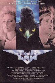 Eagle’s Law 1988 on netflix