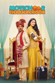 Motichoor Chaknachoor 2019 on netflix