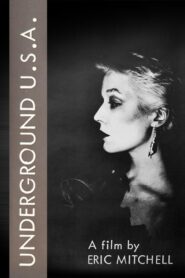 Underground U.S.A. 1980 on netflix