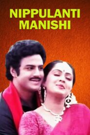 Nippulanti Manishi 1986 on netflix