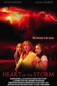 Heart of the Storm 2004 on netflix
