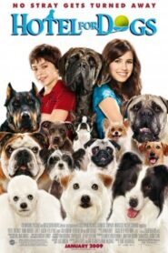 A Home for Everyone: The Making of ‘Hotel for Dogs’ 2009 on netflix