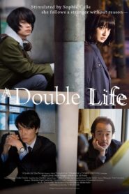 Double Life 2016 on netflix