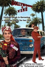 Bollywood and Vine 2004 on netflix