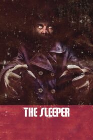 The Sleeper 2012 on netflix