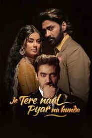Je Tere Naal Pyar Na Hunda 2022 on netflix