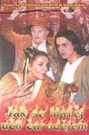 Jak se Matěj učil čarodějem 1998 on netflix