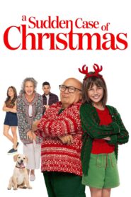 A Sudden Case of Christmas 2024 on netflix