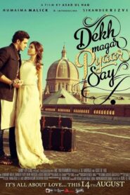 Dekh Magar Pyaar Say 2015 on netflix