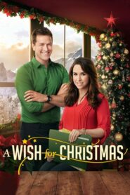 A Wish for Christmas 2016 on netflix