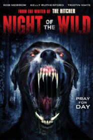 Night of the Wild 2015 on netflix