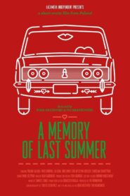 A Memory of Last Summer 2013 on netflix