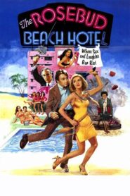 The Rosebud Beach Hotel 1984 on netflix