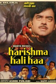Karishma Kali Kaa 1990 on netflix