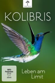 Kolibris – Leben am Limit 2012 on netflix
