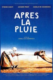 Après la pluie 1989 on netflix