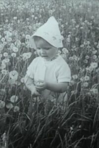 Through the Blooming Linden 1982 on netflix