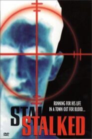 Stalked 2000 on netflix